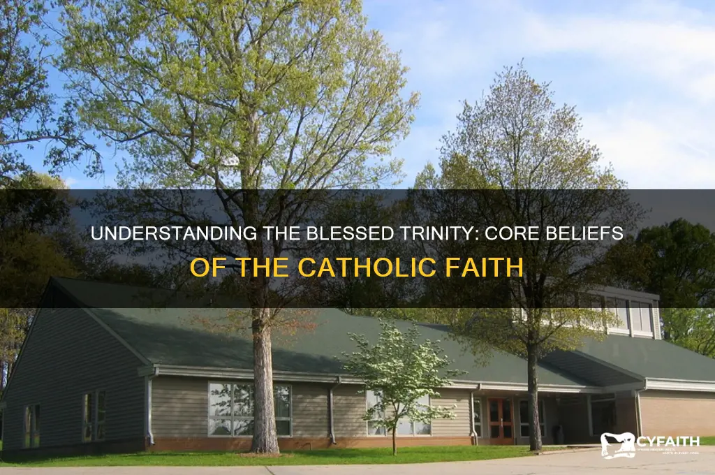 what is the blessed trinity catholic