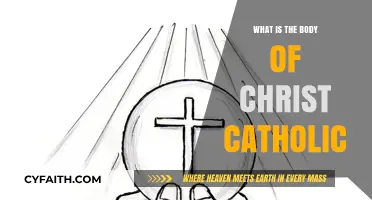 Understanding the Body of Christ in Catholic Theology and Practice
