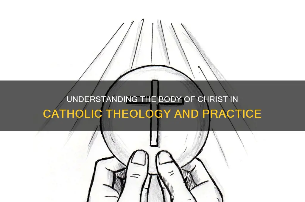 what is the body of christ catholic