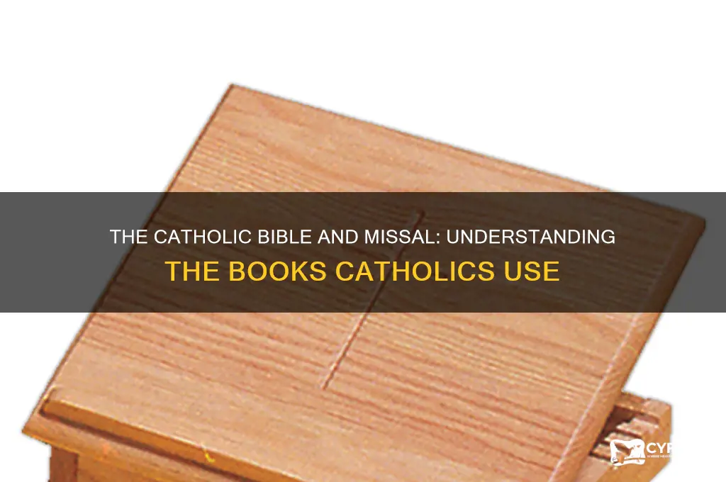 what is the book catholics use