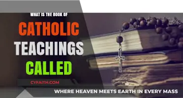 Understanding the Catechism: The Book of Catholic Teachings Explained