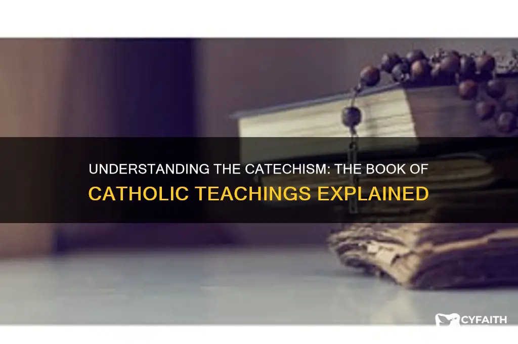 what is the book of catholic teachings called
