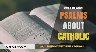Understanding the Catholic Perspective on the Book of Psalms