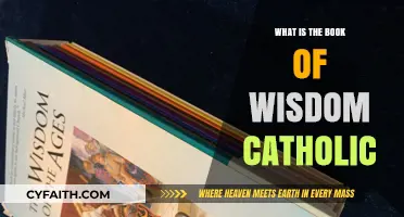 Understanding the Catholic Book of Wisdom: Origins, Teachings, and Significance