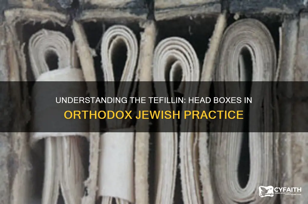 what is the box orthodox jews wear on their head