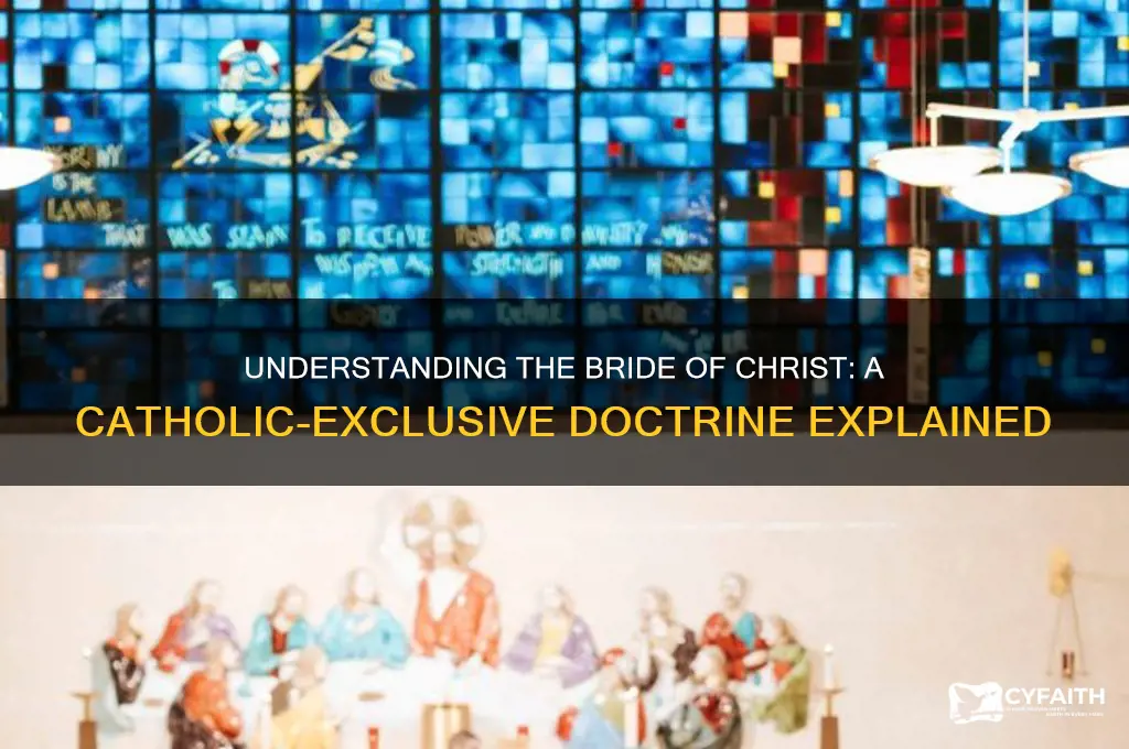 what is the bride of christ catholic only