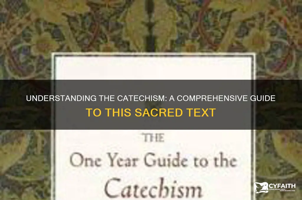 what is the catechism book