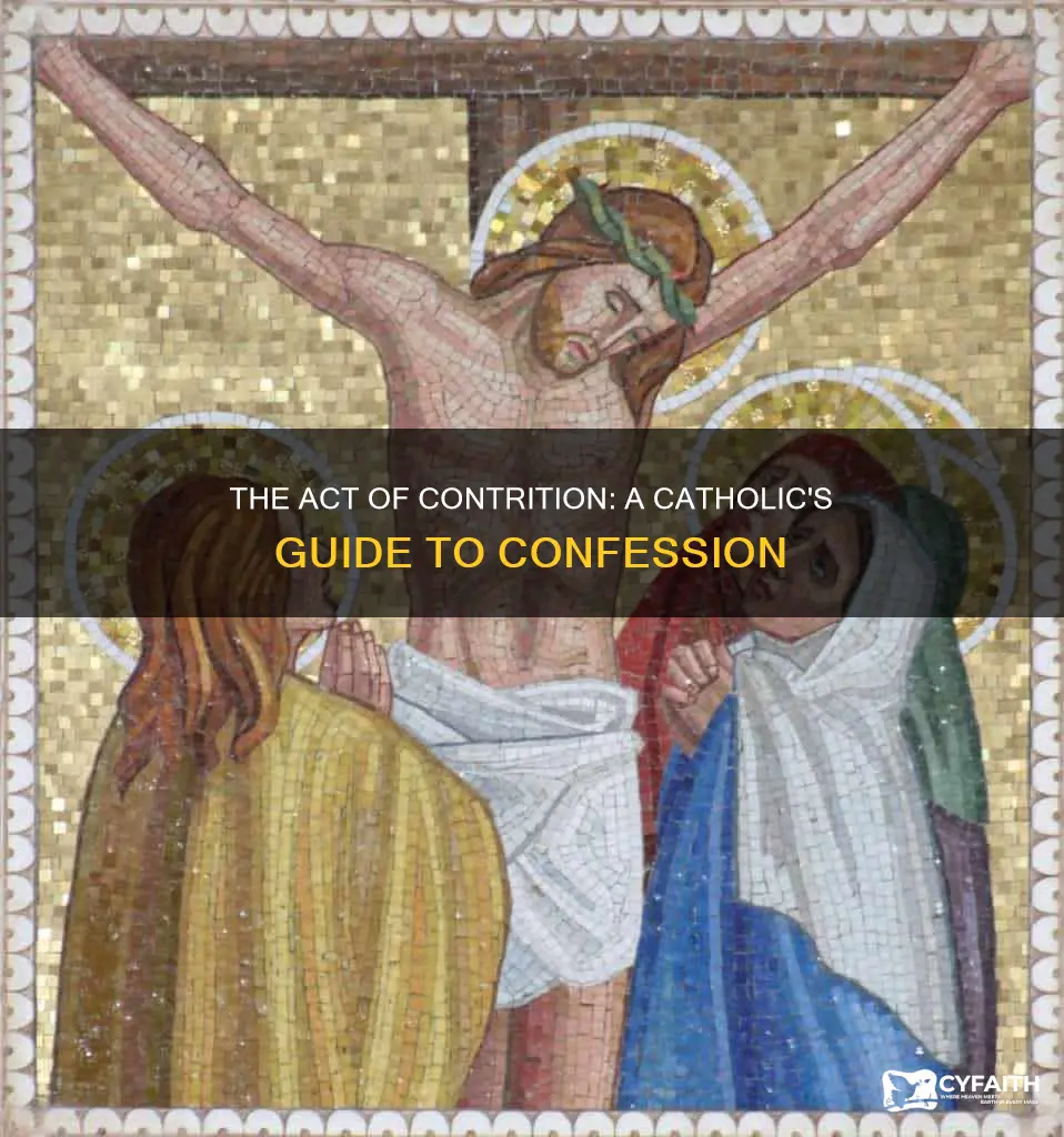 what is the catholic act of contrition
