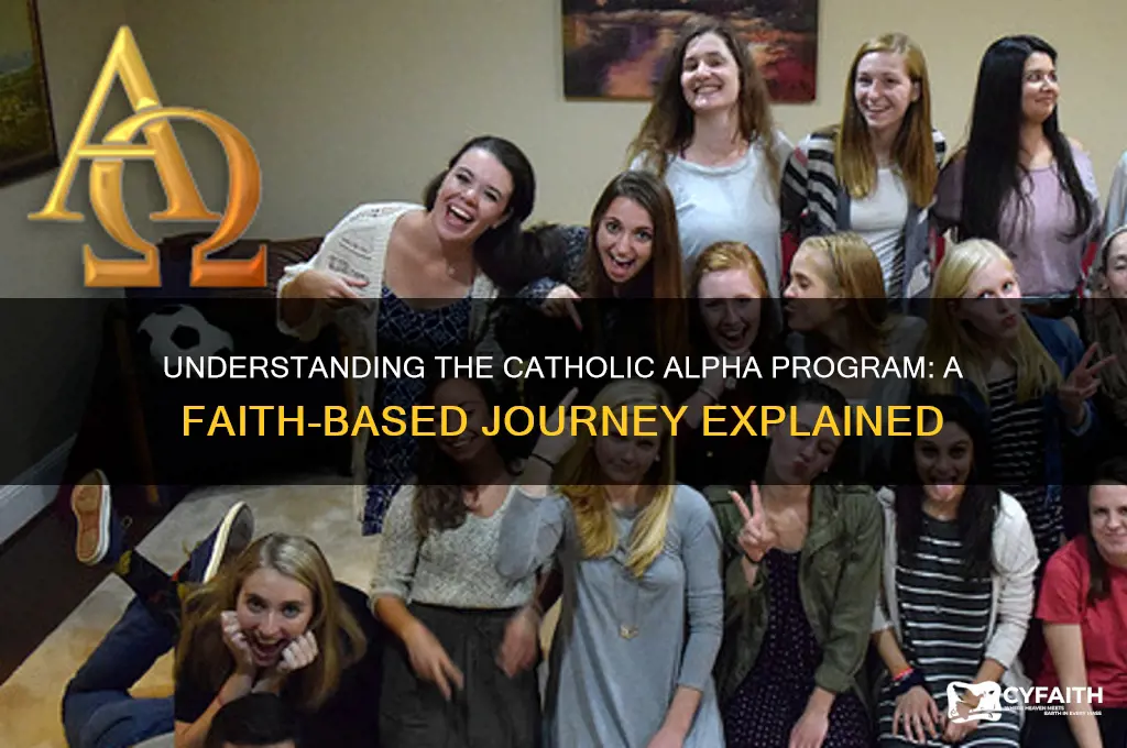 what is the catholic alpha program