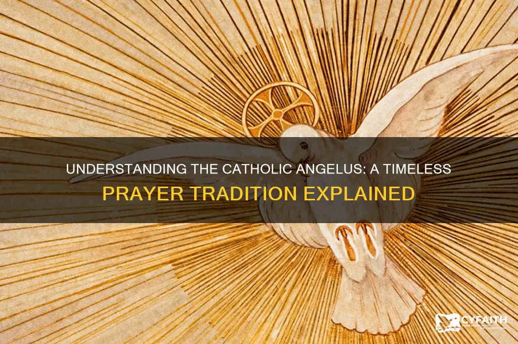 what is the catholic angelus