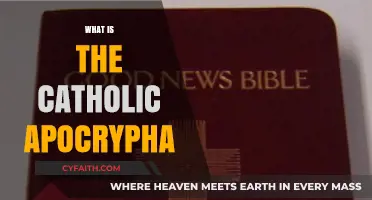 Understanding the Catholic Apocrypha: Origins, Texts, and Significance Explained
