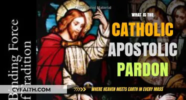 Understanding the Catholic Apostolic Pardon: Meaning, Significance, and Practice