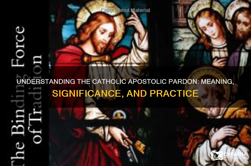 what is the catholic apostolic pardon