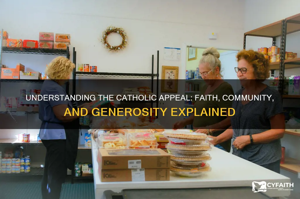 what is the catholic appeal
