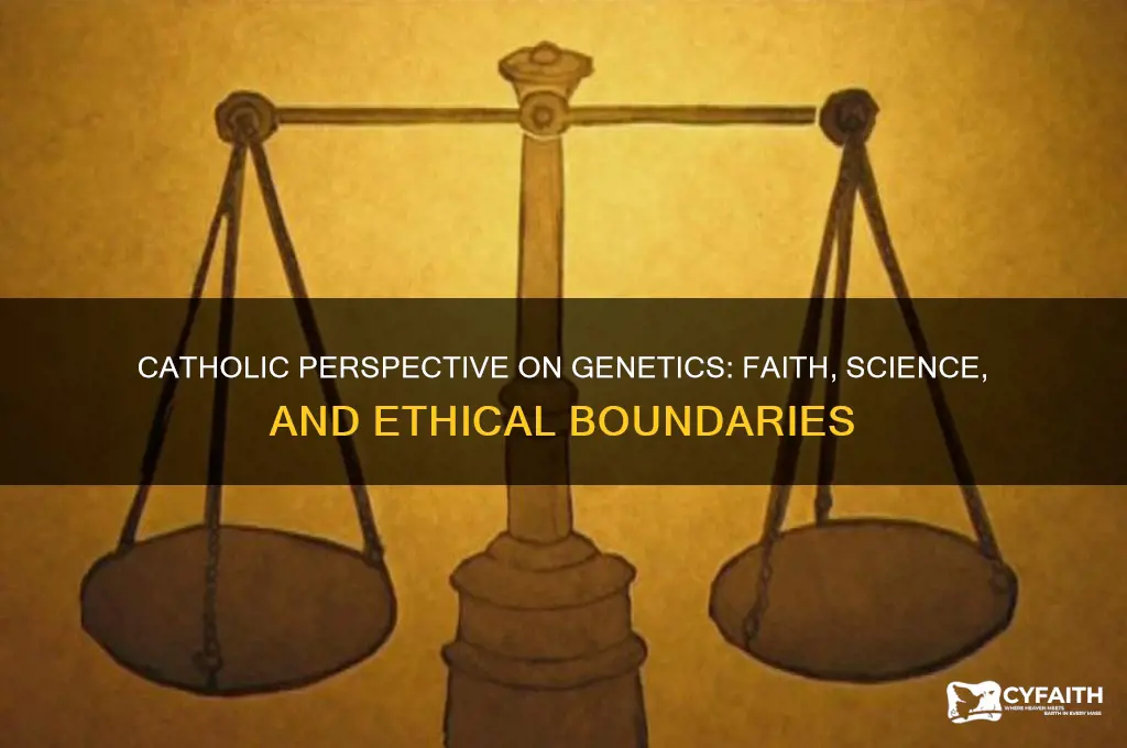 what is the catholic approach towards genetics