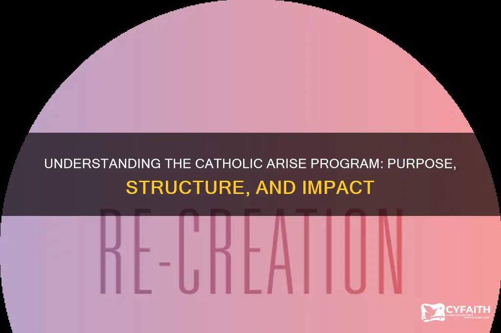 what is the catholic arise program