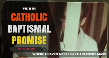 Understanding the Sacred Catholic Baptismal Promise and Its Meaning