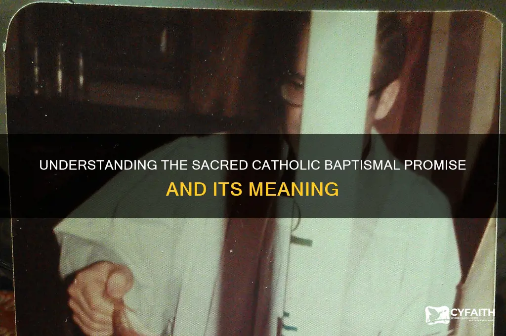 what is the catholic baptismal promise