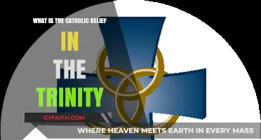 Understanding the Catholic Doctrine of the Holy Trinity