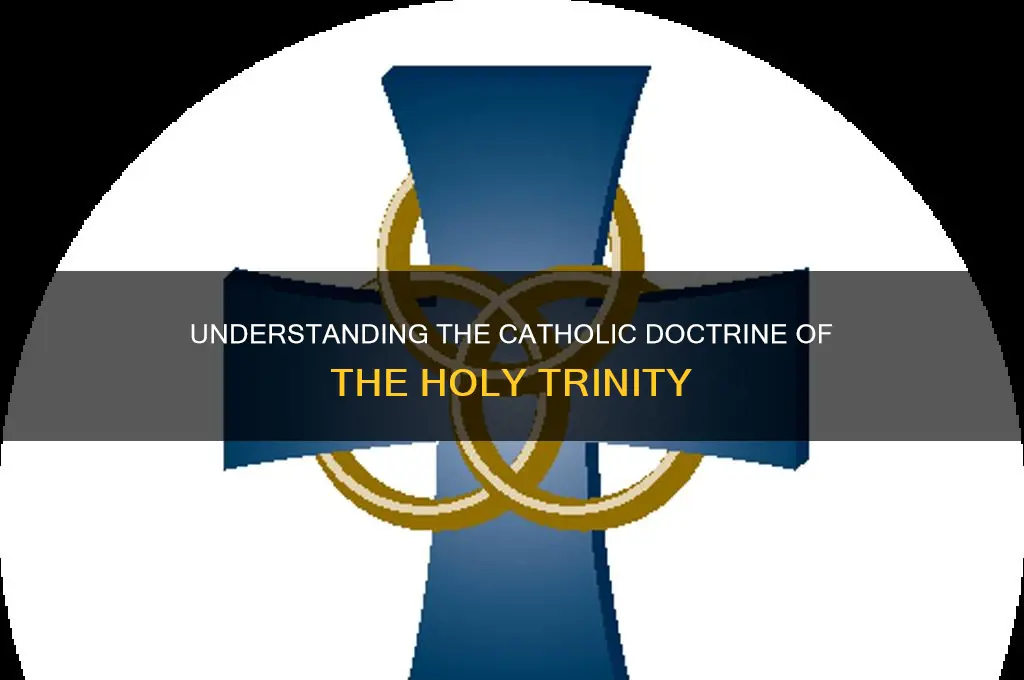 what is the catholic belief in the trinity