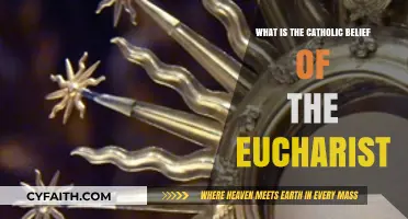Understanding the Catholic Doctrine of the Eucharist: Faith and Mystery