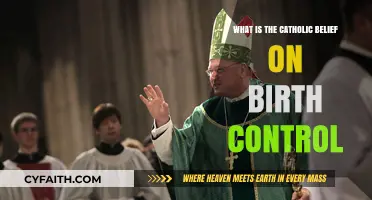Understanding Catholic Teachings on Birth Control: Faith, Morality, and Family Planning
