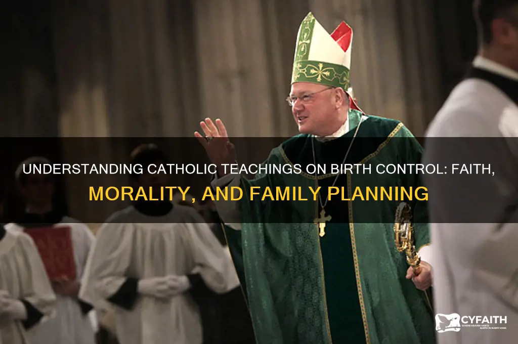 what is the catholic belief on birth control