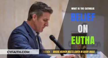 Catholic Teachings on Euthanasia: Exploring the Church's Ethical Stance