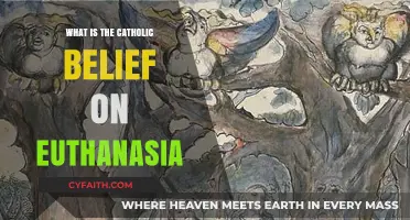 Catholic Teachings on Euthanasia: Understanding the Church's Stance