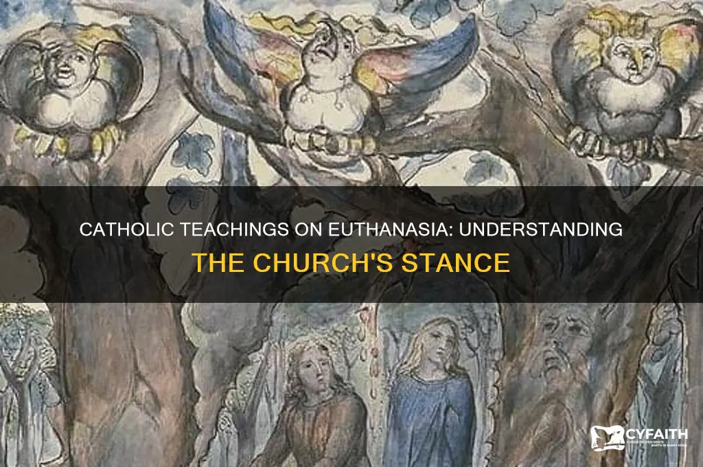 what is the catholic belief on euthanasia