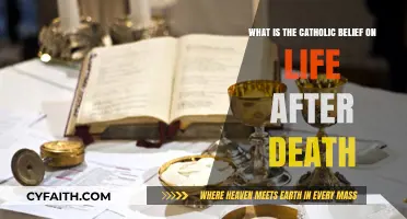Catholic Teachings on Eternal Life: Exploring the Afterlife Beliefs