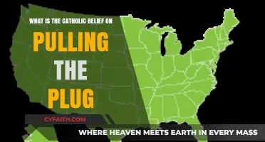 Catholic Teachings on End-of-Life Decisions: Pulling the Plug Explained
