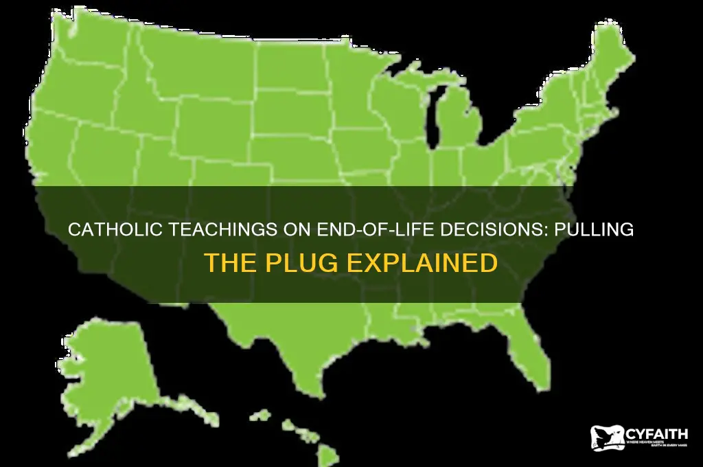what is the catholic belief on pulling the plug