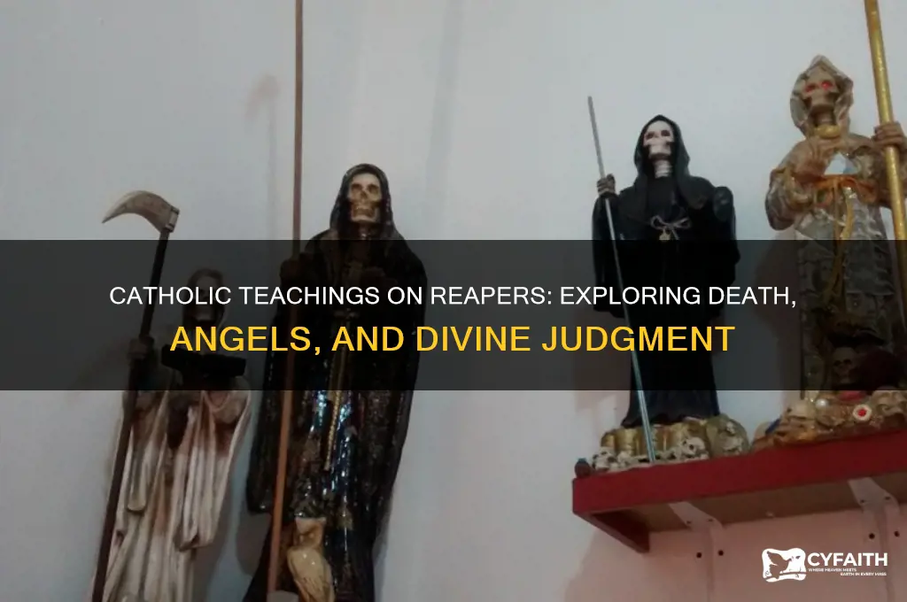 what is the catholic belief on reapers