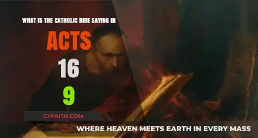 Acts 16:9: Unveiling the Catholic Bible's Message of Divine Guidance