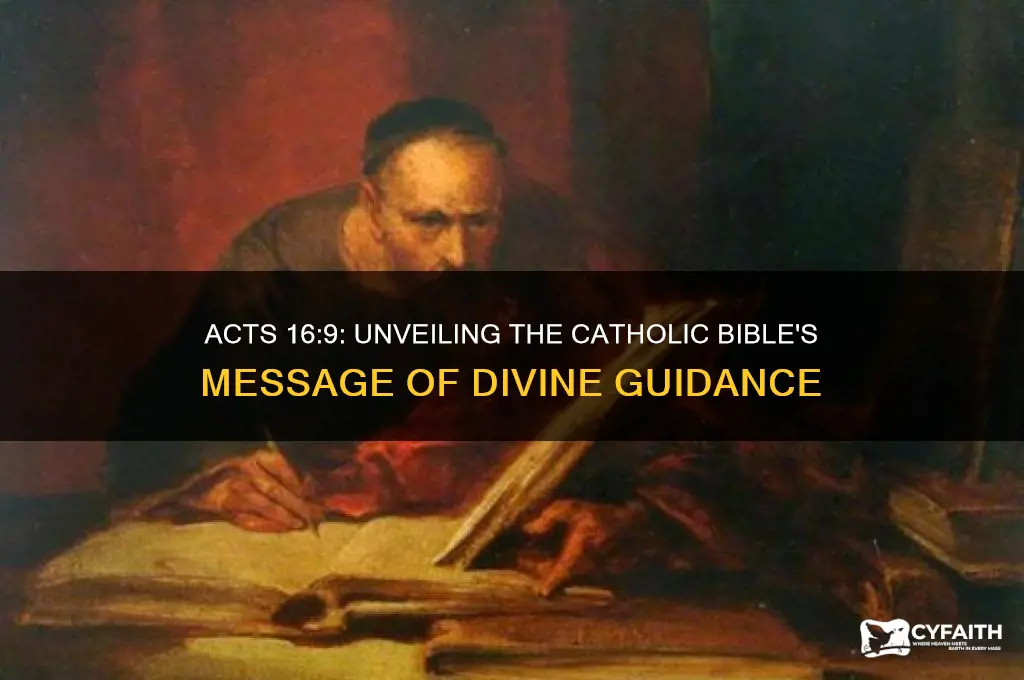 what is the catholic bibe saying in acts 16 9