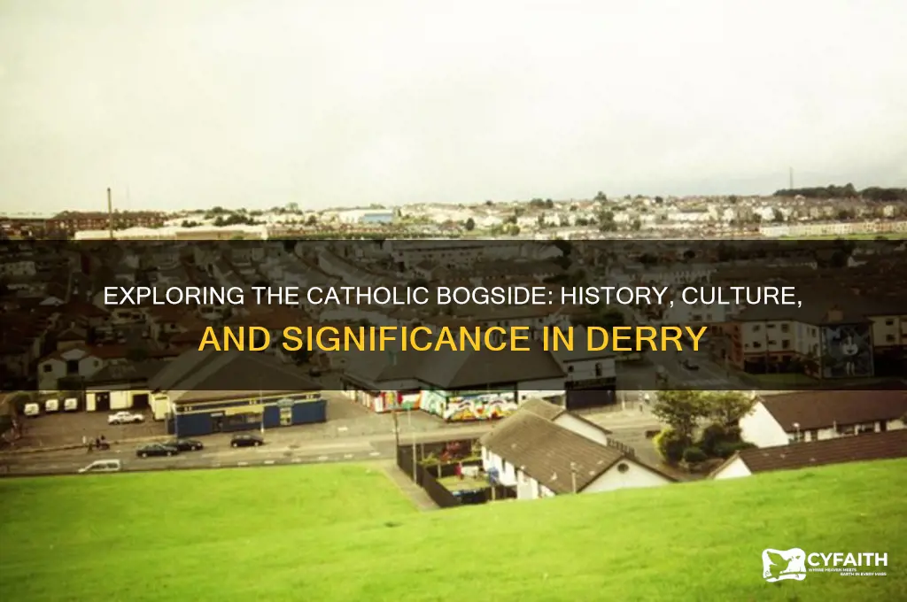 what is the catholic bogside