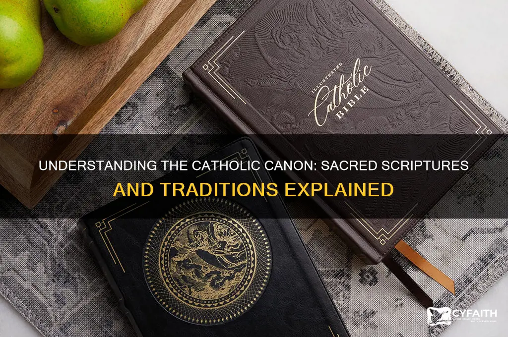 what is the catholic canon
