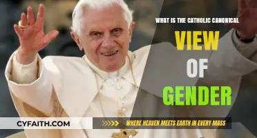 Understanding Gender Through the Lens of Catholic Canonical Teachings