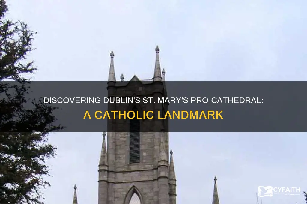 what is the catholic cathedral in dublin