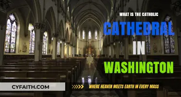 Exploring Washington's Catholic Cathedral: History, Architecture, and Significance