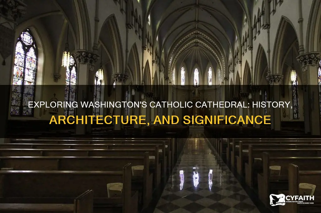 what is the catholic cathedral in washington