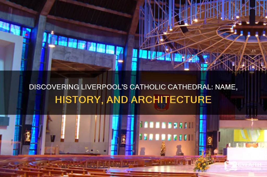 what is the catholic cathedral of liverpool called