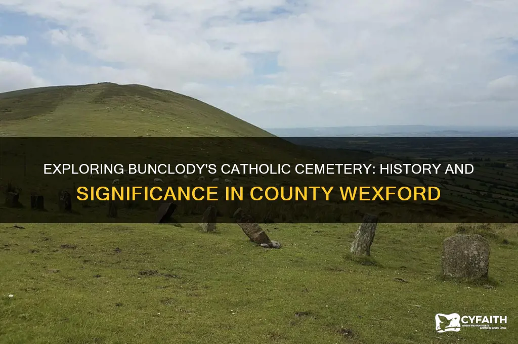what is the catholic cemetary in bunclody county wexford ireland