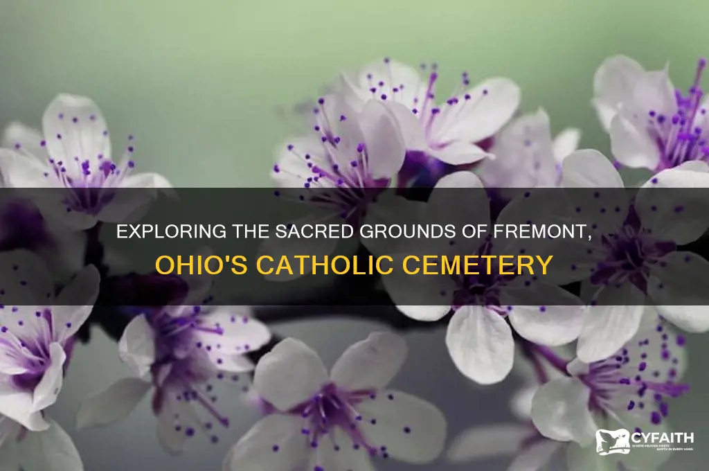 what is the catholic cemetery in fremont ohio