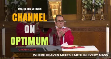 Discover the Catholic Channel on Optimum: Your Spiritual Viewing Guide