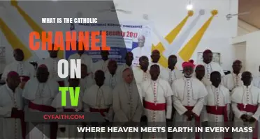 Discovering the Catholic Channel: A Guide to Faith-Based TV Programming