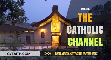 Exploring The Catholic Channel: Faith, Media, and Community Insights