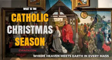 Understanding the Catholic Christmas Season: Traditions, Liturgical Meaning, and Joy