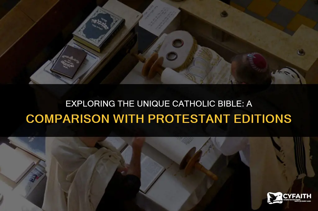 what is the catholic church bible difference between the protestant